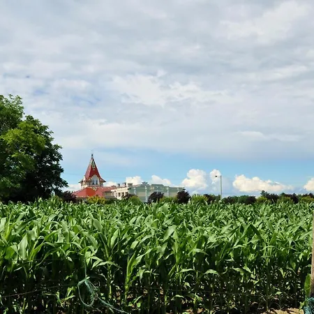 Masa בית הארחה 3*